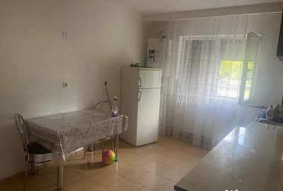 Apartament cu 2 camere semidecomandat în Craiovița Nouă - 1