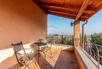 Vilă P+E+M cu 4 camere, 320 mp, Berceni/Ilfov - 21