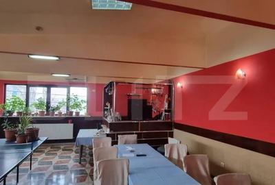 Casă cu 7 camere cu Teren 550 Mp în Cetate - 8