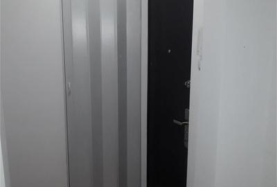 Lacul Tei, aproape Parcul Circului - 8