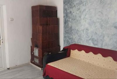 Casă cu 2 camere cu Teren 545 Mp în Zănoaga - 5