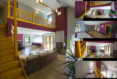 Casă cu 4 camere cu Teren 2800 Mp în Borzești - 4