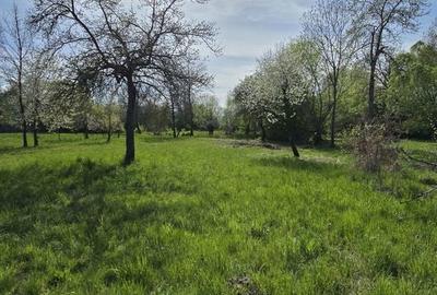 Teren de 1700 mp, în Recea - 8