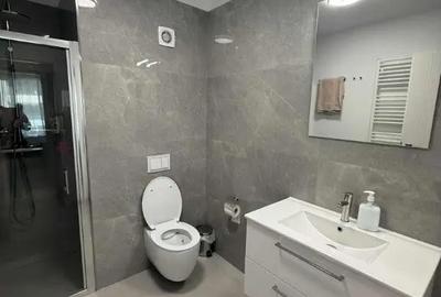 Apartament cu 2 camere semidecomandat în Grigorescu - 5