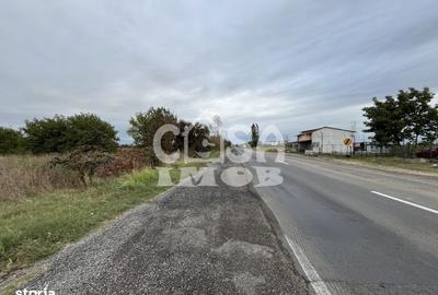 Teren de 15000 mp, în Centură - 14