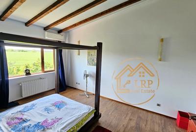 Ciolpani/Izvorani/Padurea Snagov-Vila 5 camere,P+1, 268mp utili, teren 1067mp - 31