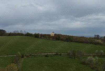 Teren de 5800 mp, în Mitocași - 2