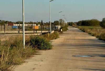 Teren de 600 mp, în Frumușani - 2