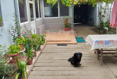 De vanzare casa cu teren de 1500mp in Deta - 9