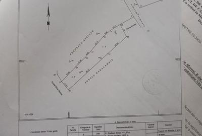 Spațiu comercial, în Central - 4