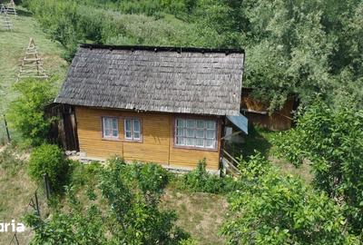 Teren de 6200 mp, în Cicănești - 15