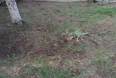 Casă în Central - 4