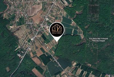 Ideal Forest -vindem LOT 31 - 716 m2 - 16