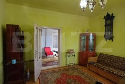 Casa renovabila, 3 camere, 1400 mp teren, in Mihai Viteazu - 10
