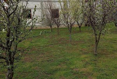 Casă cu 4 camere cu Teren 895 Mp în Vadu Pașii - 9