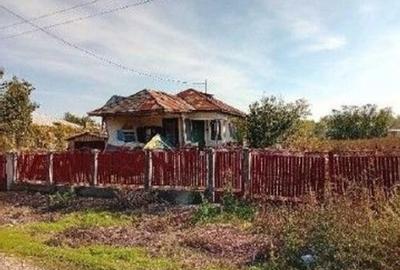 Casă cu 2 camere cu Teren 1899 Mp în Glodeanu Sărat - 10