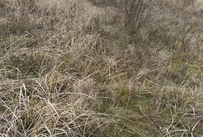 Teren de 665 mp, în Moșnița Nouă