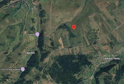 Teren de 42048 mp, în Sărmaș - 4