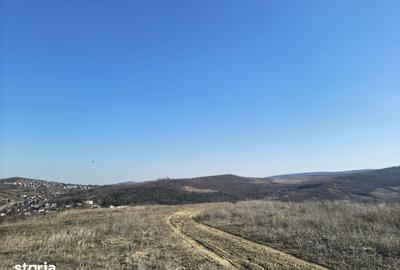 Teren de 400 mp, în Tomești - 7