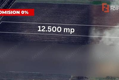 Teren de 12500 mp, în Mehala