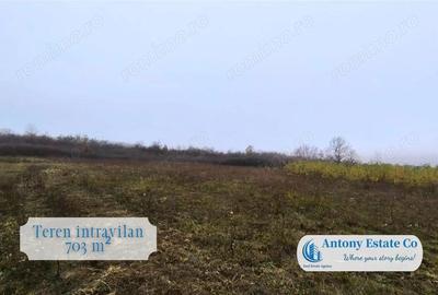 Teren de vanzare- Paleu - 4