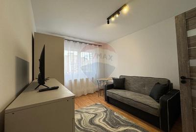 Apartament cu 1 camere în Noua - 2