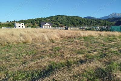 Teren de 1000 mp, în Glăjărie - 2
