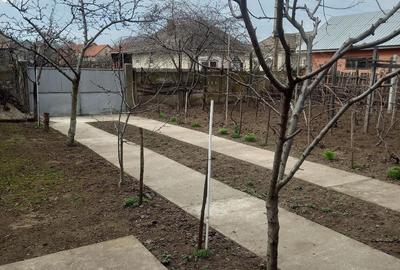 Casă cu 3 camere cu Teren 800 Mp în Maglavit - 4