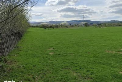 Spațiu comercial, în Brădet - 1