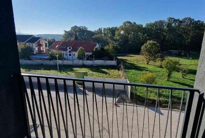 Apartament cu 2 camere în Băile Felix - 3