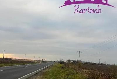 Teren de 5620 mp, în Nojorid - 4