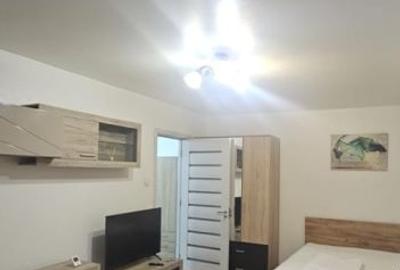 Garsoniera Teiul Doamnei | Centrala Proprie - 4