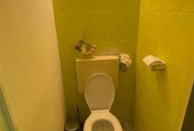 Stefan cel Mare, parter de vila, pretabil investitie, spatiu comercial/birou - 6