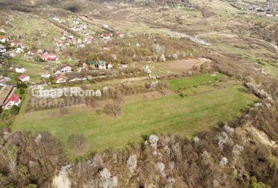 Teren de 23345 mp, în Cornu - 2