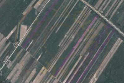 Teren de 240000 mp, în Mânăstioara - 2