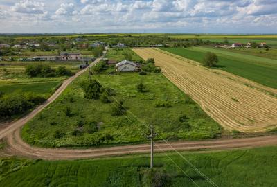 FRUMUSANI - POSTAVARI, TEREN 1500 MP, FRONT 30 M ! - 17