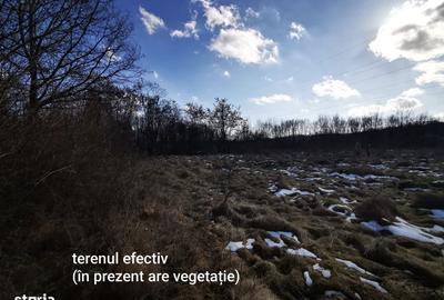 Teren de 2400 mp, în Merișani - 3