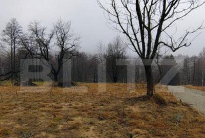 Teren intravilan zona deosebita in Zarnesti Teren intravilan zona deosebita in Zarnesti - 7