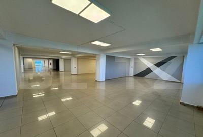 Spa?iu comercial / showroom, de inchiriat, 500 mp, zona Ca - 2