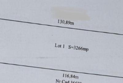 Teren Isanlita INTRAVILAN - 3266 MP - Ideal pentru investiti - 3