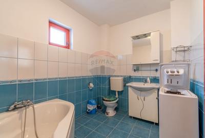 Casa de vanzare Jucu de Mijloc, Zona Panemar Teren intravilan 3301 mp - 12