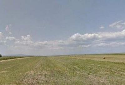 Teren extravilan cota parte 1/3 Cernatesti , ID: R2586146 - 5