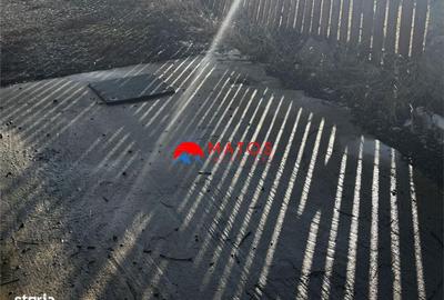 Casă cu 9 camere cu Teren 1750 Mp în Valea Doftanei - 1