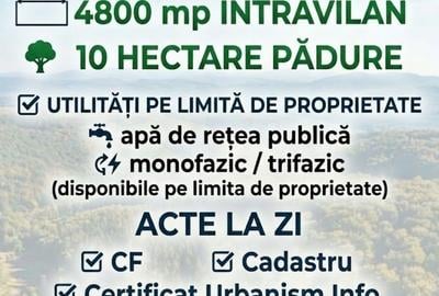 Spațiu comercial, în Sud