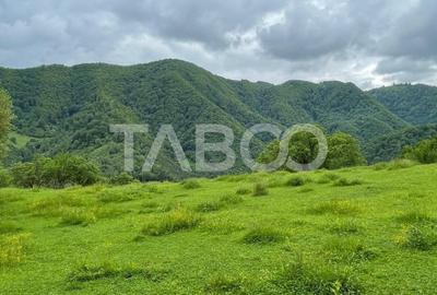 Teren intravilan de vanzare in Martinia de sus - 1