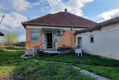 Casa cu teren 14,40 ari in Corod-Culciu jud Satu Mare - 4
