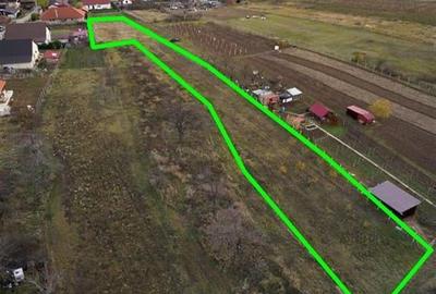 RECO . Teren intravilan Saldabagiu de munte . - 9