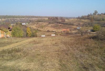 Teren de 4900 mp, în Leamna de Sus - 2