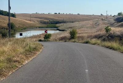 Teren de 900 mp, în Tămădău Mic - 2