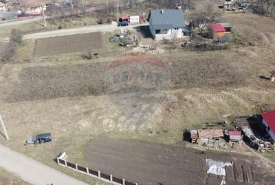 Teren Construcții intravilan de 3041 mp, în Aghireșu-Fabrici - 2